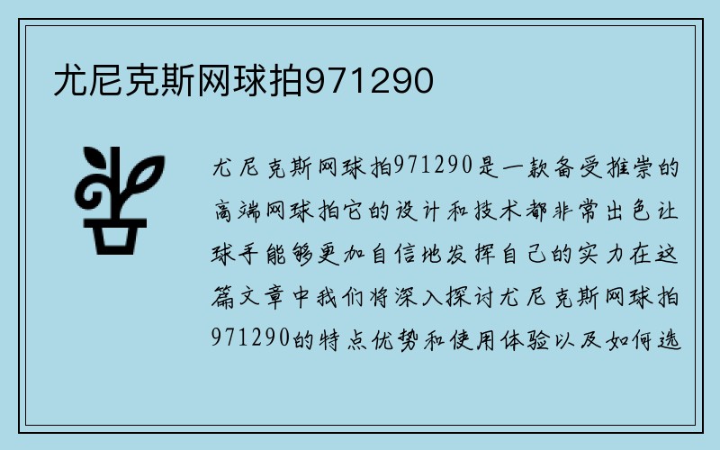 尤尼克斯网球拍971290