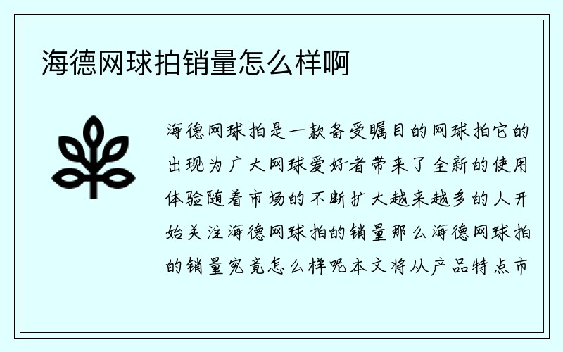 海德网球拍销量怎么样啊